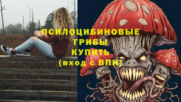 наркотики Белокуриха