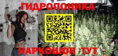 молекула духа Дубна