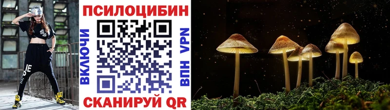 гидра зеркало  Борисоглебск  Псилоцибиновые грибы Cubensis 