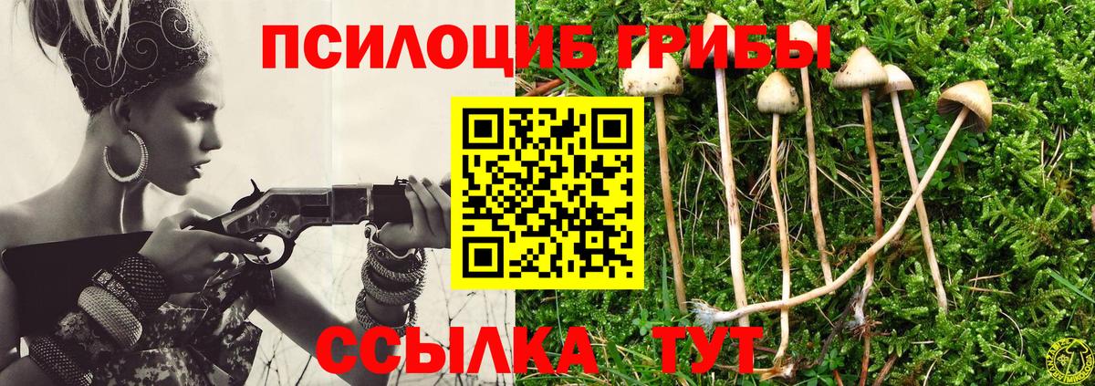 Галлюциногенные грибы GOLDEN TEACHER  Галлюциногенные грибы мицелий  Вход с VPN  продажа наркотиков  Борисоглебск 
