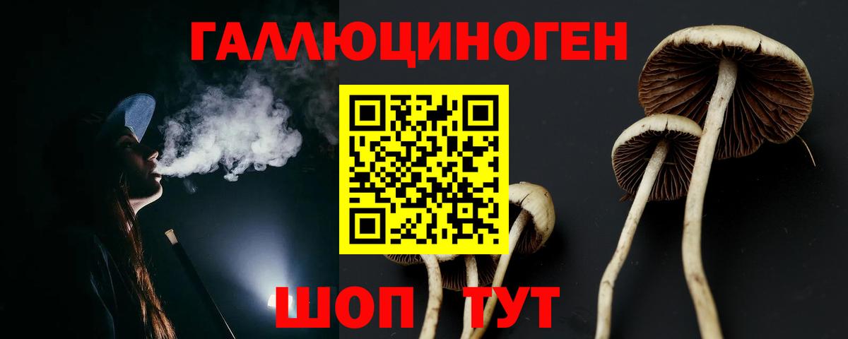 Псилоцибиновые грибы GOLDEN TEACHER Борисоглебск